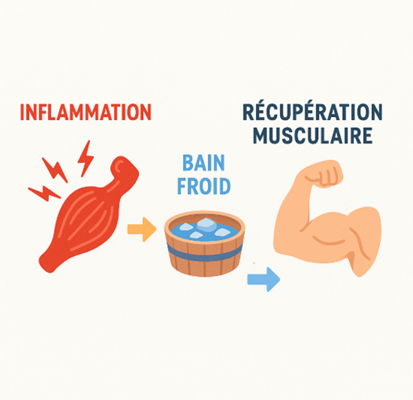 pourquoi prendre bain glace apres sport
